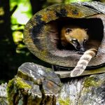 Ambivertiert und Hochsensibel – Gern unter Menschen, aber nicht immer