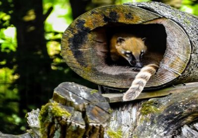Ambivertiert und Hochsensibel – Gern unter Menschen, aber nicht immer