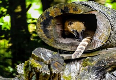 Ambivertiert und Hochsensibel – Gern unter Menschen, aber nicht immer