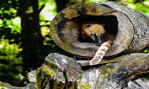 ambivertiert und hochsensibel
